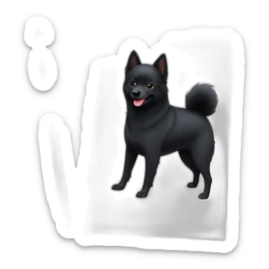 Black schipperke with only black hair, mid length hair with tongue stuck out and dark brown eyes sticker