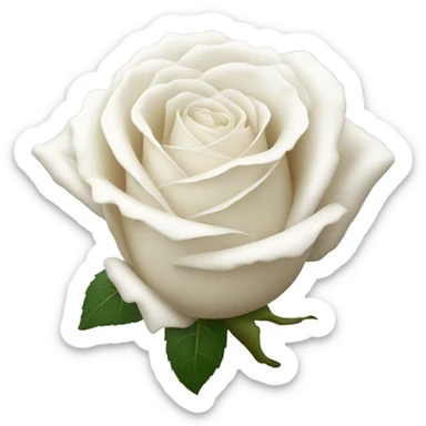 white rose sticker