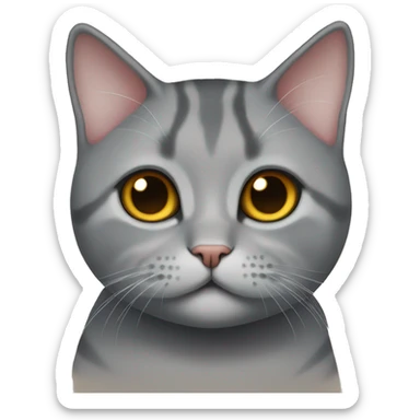 British Short hair cat cute sticker