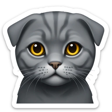 Adult Scottish fold cat dark grey colour sticker