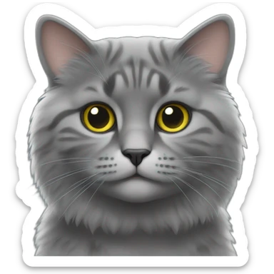 Gris du gabon sur chat sticker