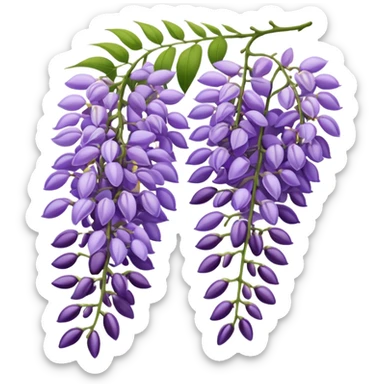 Wisteria sticker