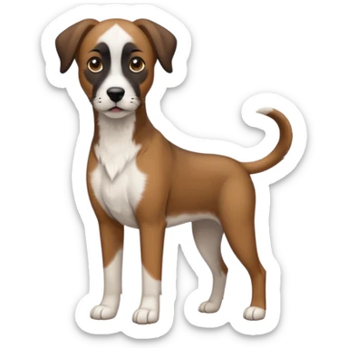 Mountain cur dog with white face black nose and brown ears sticker