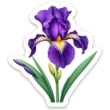 iris flowers sticker