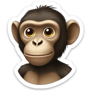 Monkey pm sticker