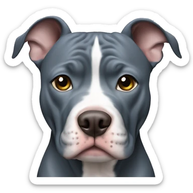 Blue nose pitbull  sticker
