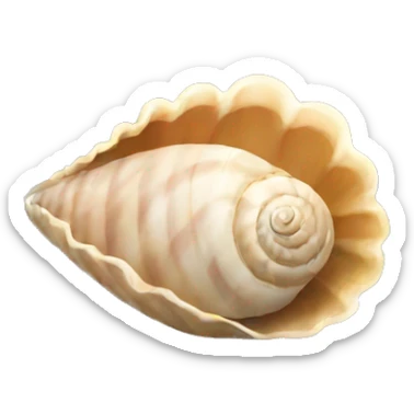 Shell  sticker