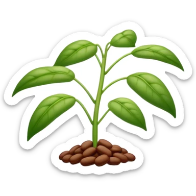 beans plant  sticker