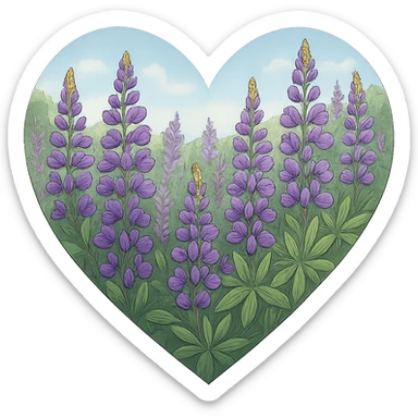 heart with a wild lupine meadow, clean digital illustration, no background sticker