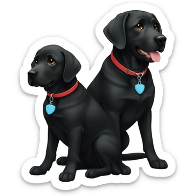 2 black labradors. one on the left black, smaller size. The dog on left black with a light blue collar. dog on right with red collar. sticker
