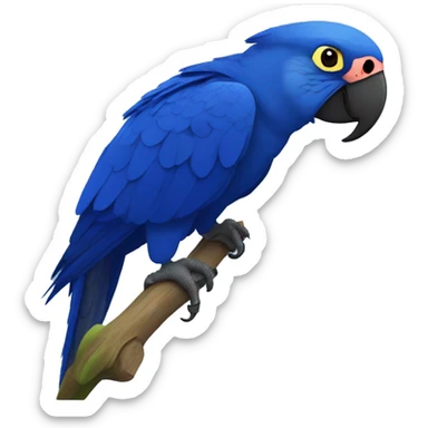 Hyacinth macaw sticker