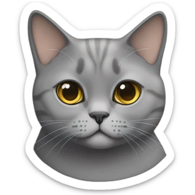 british shorthair cat with Pablo nametag sticker