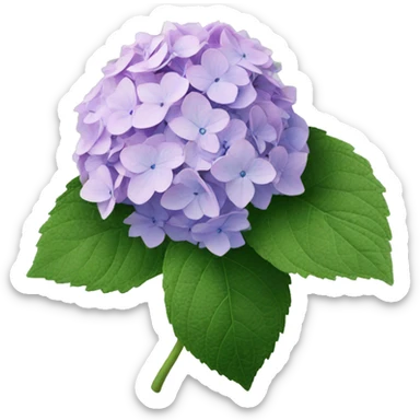 Hydrangea sticker