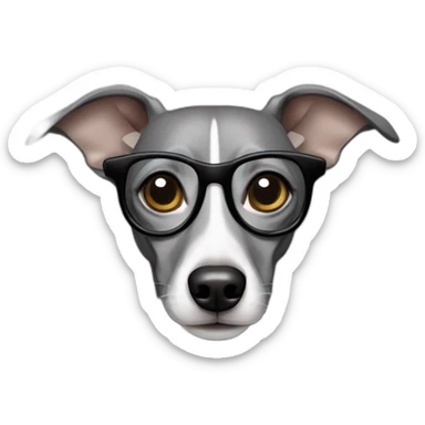 Italian greyhound female, gray color with white chest, wearing glasses sticker