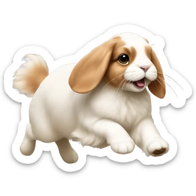 Orange holland lop running away sticker