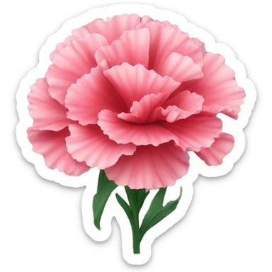 Flower of Carnation sticker