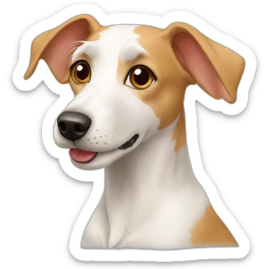 Maltese dog with podenco sticker