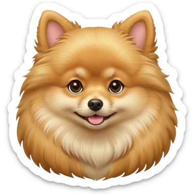 Create a golden pomeranian, all cute and adorable entire  only face and body  sticker