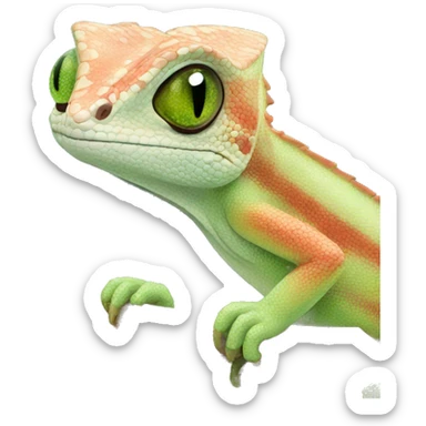 camaleon sticker