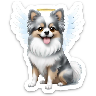 Blue Merle Pomeranian  with white angel wings and halo sticker