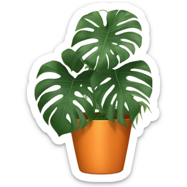 aesthetic monstera in an orange pot against an orange wall sticker