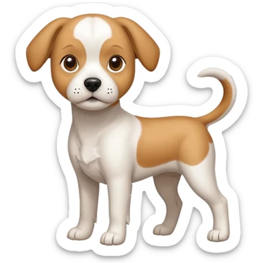 a full body white beagle x maltese x chi dog the size of a kelpie with light brown ears and a light brown patch on one eye sticker