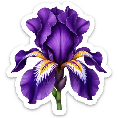 💜 rengini aç sticker