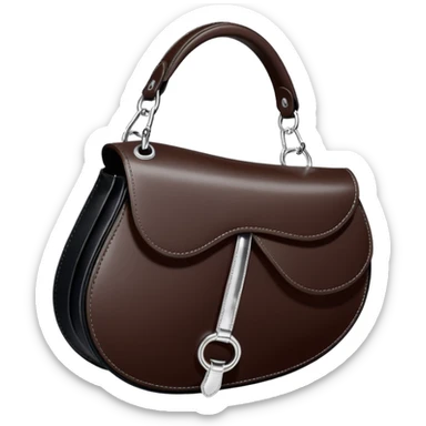 dior saddle bag sticker