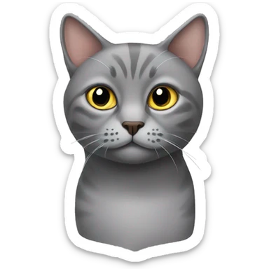 Scottish downturned ears grey cat  sticker