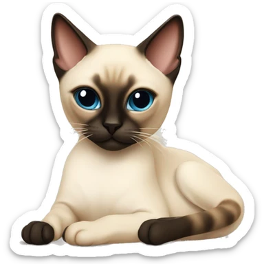 Siamese cat lounging   sticker