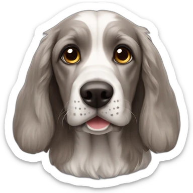 drahthaar dog sticker