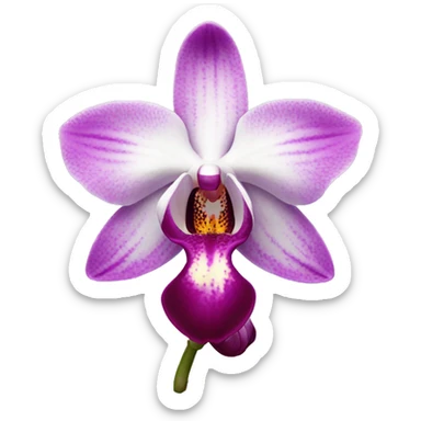 orchid flower sticker