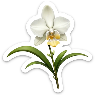 single white Dendrobium Orchid straight stem sticker