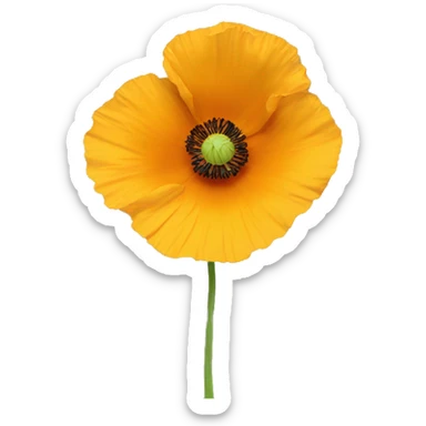 a yellow poppy flower with an orange hue in the middle of it  sticker