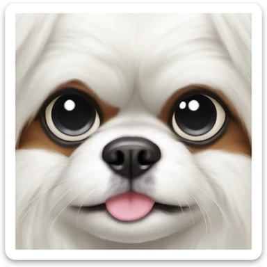 japanese chin white fur on eye sticker