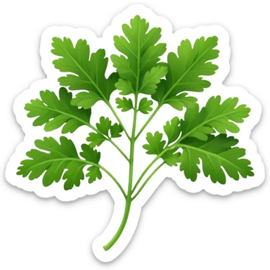 a sprig of cilantro sticker