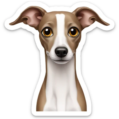 italian greyhound sticker