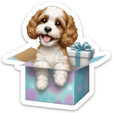 Brown and white cavapoo and gift box sticker