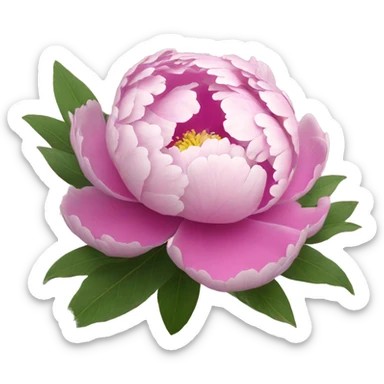 peony flower sticker