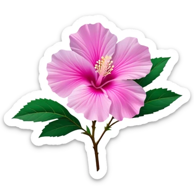 Cinematic Realistic image of a Mugunghwa flower (Rose of Sharon), rendered with delicate petal textures and vibrant pink hues, set against a minimalist background with gentle, diffused lighting that highlights its national significance sticker