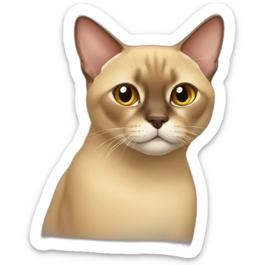 Burmese cat sticker