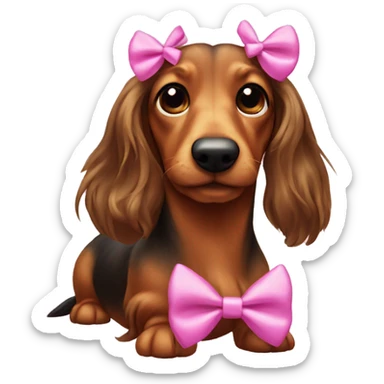 Mini long haired wiener dog with bows  sticker
