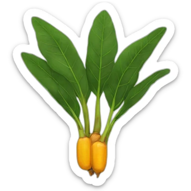 Tumeric root sticker
