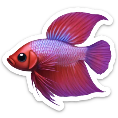 Betta fish sticker