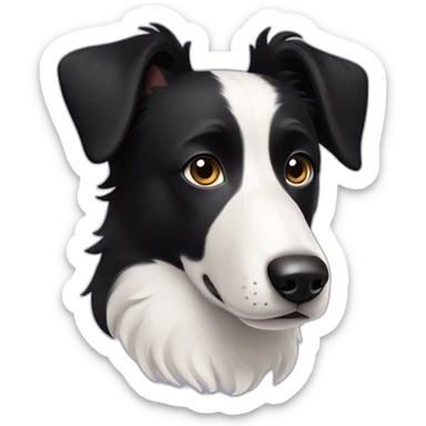 black short hair border collie with white neck and black nose floppy ears sticker