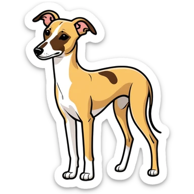 Whippet white with brown patches  sticker