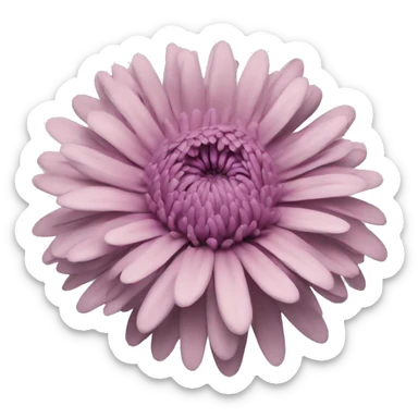 chrysanthemum sticker
