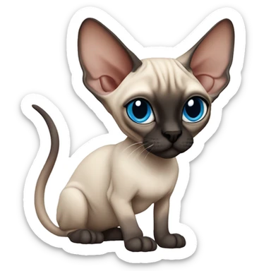 Siamese Sphynx  cat with blue eyes, full body, black nose ears and tail sticker