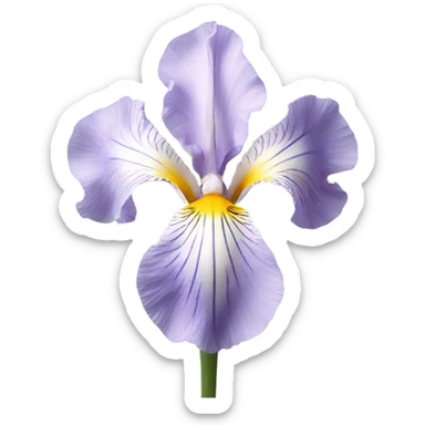 pale Iris flower sticker