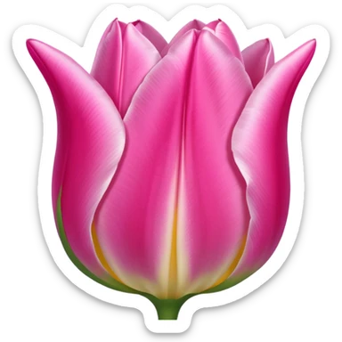 Pink tulip
 sticker